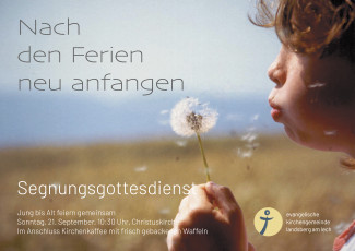 Pusteblume flieg